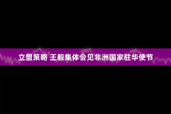 立盟策略 王毅集体会见非洲国家驻华使节