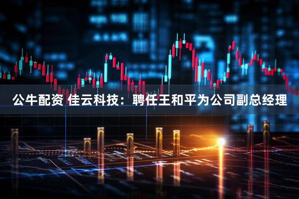 公牛配资 佳云科技：聘任王和平为公司副总经理