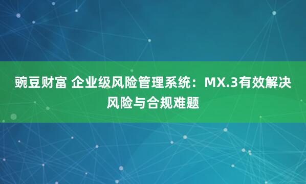 豌豆财富 企业级风险管理系统：MX.3有效解决风险与合规难题