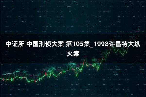 中证所 中国刑侦大案 第105集_1998许昌特大纵火案