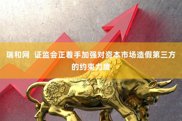 瑞和网  证监会正着手加强对资本市场造假第三方的约束力度