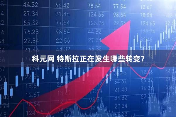 科元网 特斯拉正在发生哪些转变？