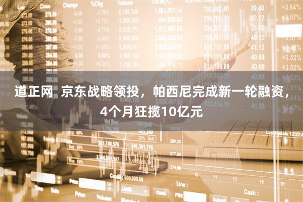 道正网  京东战略领投，帕西尼完成新一轮融资，4个月狂揽10亿元
