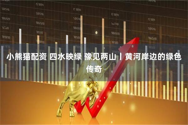 小熊猫配资 四水映绿 豫见两山丨黄河岸边的绿色传奇